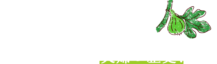 結婚した年に植えてもらった 「いちじく」は、夫婦の歴史！