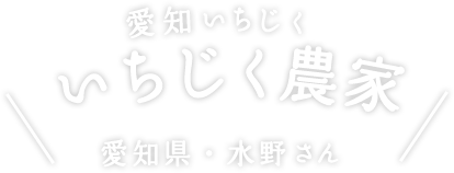 いちじく農家 愛知県・水野さん