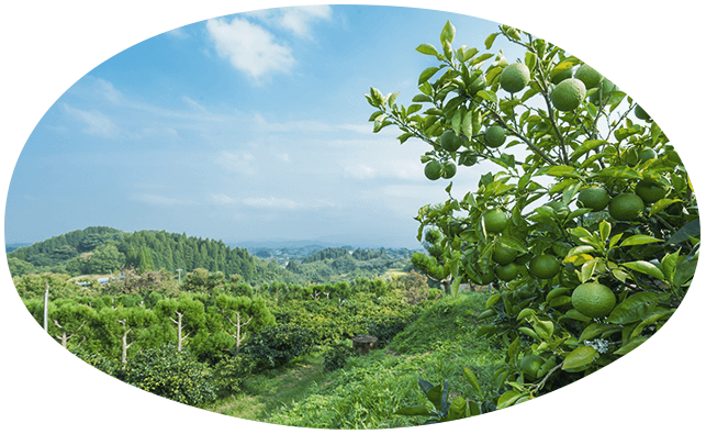 カゴメ 野菜生活100 かぼす農家 峯さんのメッセージ