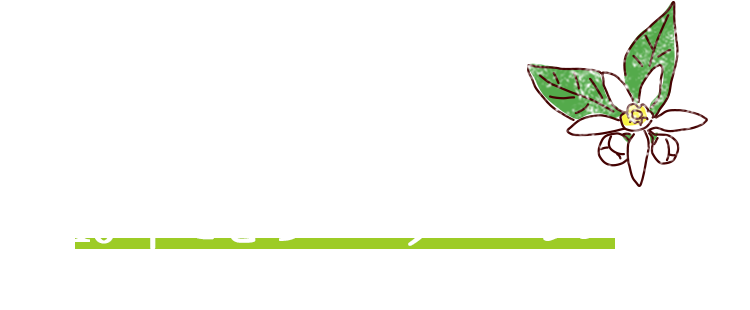 10年ごとのローテーションで、ひと畝分ずつ植え替える。