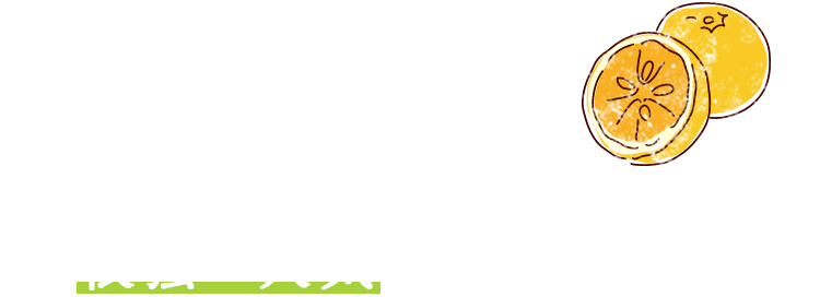 初夏の清々しいフルーツとして根強い人気がある「甘夏」。