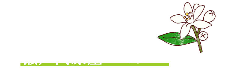 瀬戸内原産のミカン「八朔（ハッサク）」