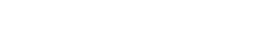 ビタミンCがたくさん摂れるキウイフルーツ！