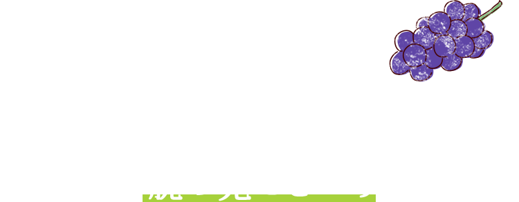 ひと房35粒、400gぐらいに仕上げるのが農家の腕の見せどころ