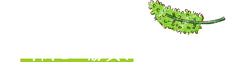 花の時期の「房切り」は、時間との勝負！