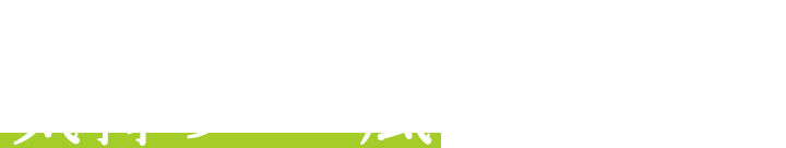 ブドウ棚の下は、気持ちいい風が吹いている