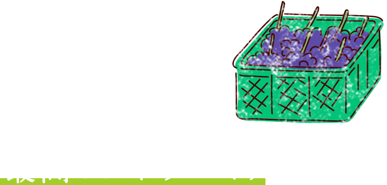 いつでも、最高のブドウづくりをめざして