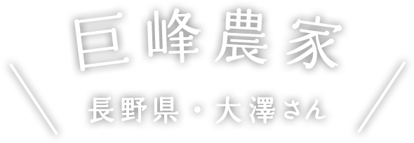 巨峰農家 長野県・大澤さん