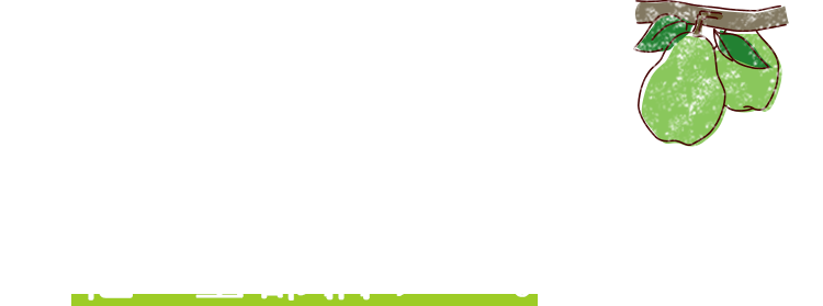 果実を大きく太らせるために、２、3、4番目あたりの花を残して、他は全部摘みとる。