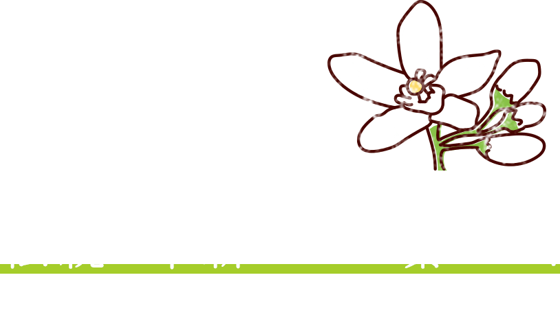 伝統と革新をうまく繋いで、地域ブランドを守っていきたい。