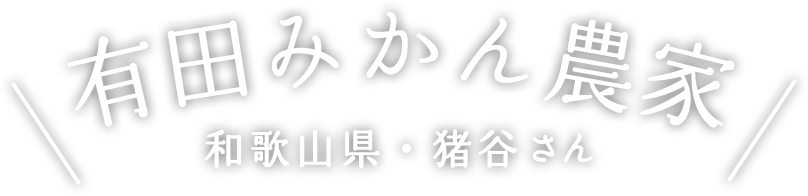 有田みかん農家 和歌山県・猪谷さん