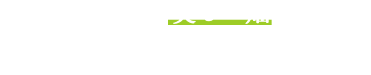 手入れのいい、美しい畑からしか、ホントに美味いパインアップルは獲れない。