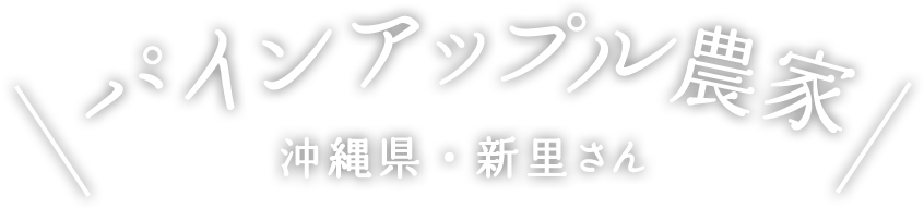 パインアップル農家 沖縄県・新里さん