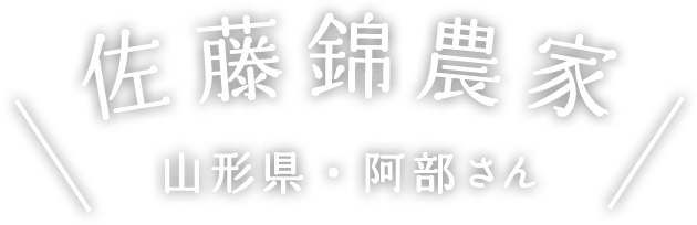 佐藤錦農家 山形県・阿部さん