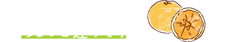 ふつうのみかんとは、ちょっと違うぞ！