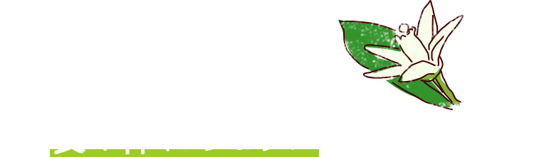 葉っぱと花が一緒に伸びた新芽を長く伸ばすように育てる。