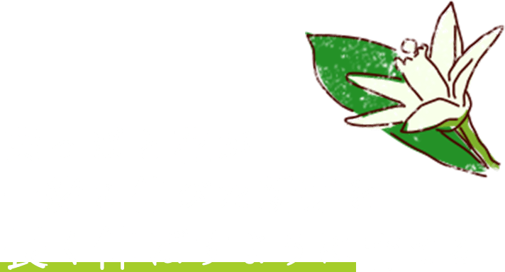 葉っぱと花が一緒に伸びた新芽を長く伸ばすように育てる。