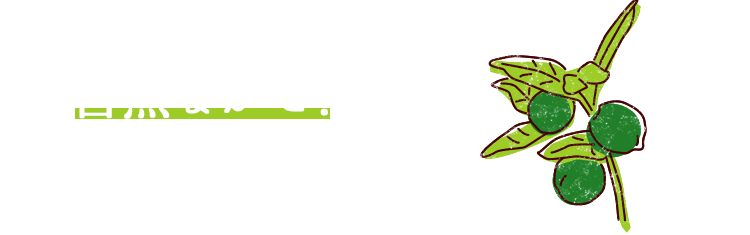 自然まかせ！で育つ、おおらかで、おいしいシークヮーサー！