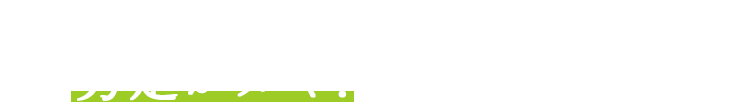 放っておけば大樹に育つので、剪定がカギ！