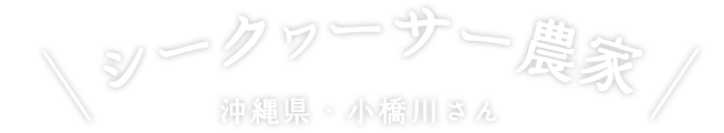 シークヮーサー農家 沖縄県・小橋川さん