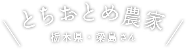 とちおとめ家 栃木県・梁島さん