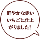 鮮やかな赤いいちごに仕上がりました！