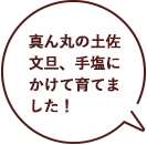 真ん丸の土佐文旦、手塩にかけて育てました！