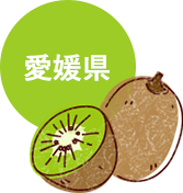 愛媛県