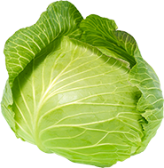 キャベツ 4枚(200g)