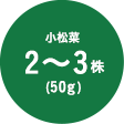 小松菜2-3株(50g)