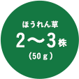 ほうれん草2-3株(50g)