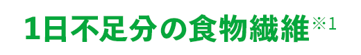 1日不足分の食物繊維 ※1