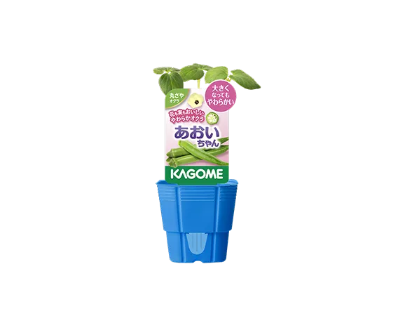 あおいちゃん®