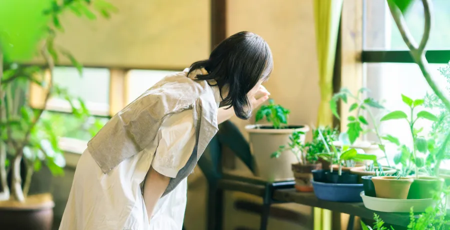 はじめてガイド