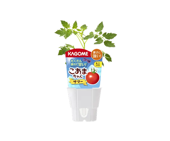 こあま さま専用ページ•*¨*•.¸♬︎ こあまちゃん® サマー｜カゴメの家庭園芸｜カゴメ株式会社