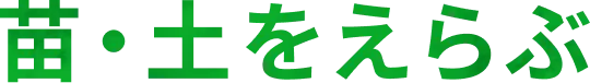 苗・土をえらぶ