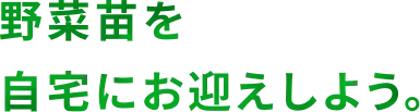 野菜苗を自宅にお迎え