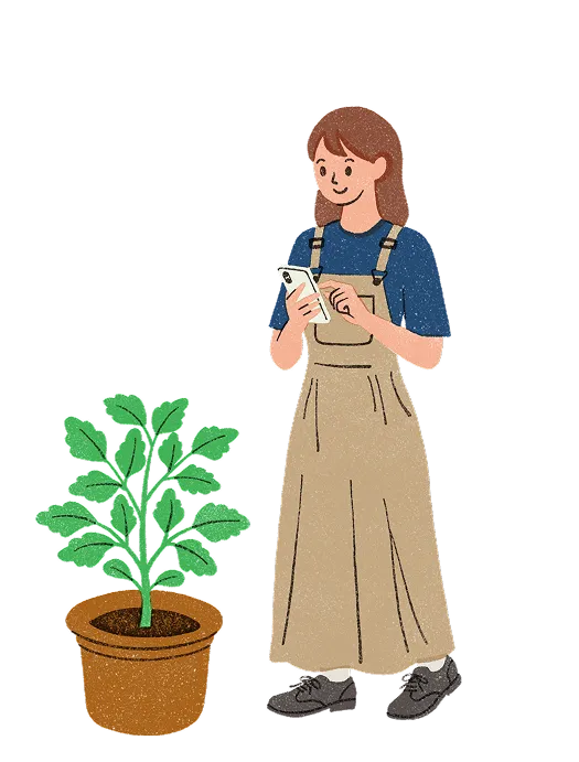 スマートフォンでトマトの苗の様子を確認しているイラスト
