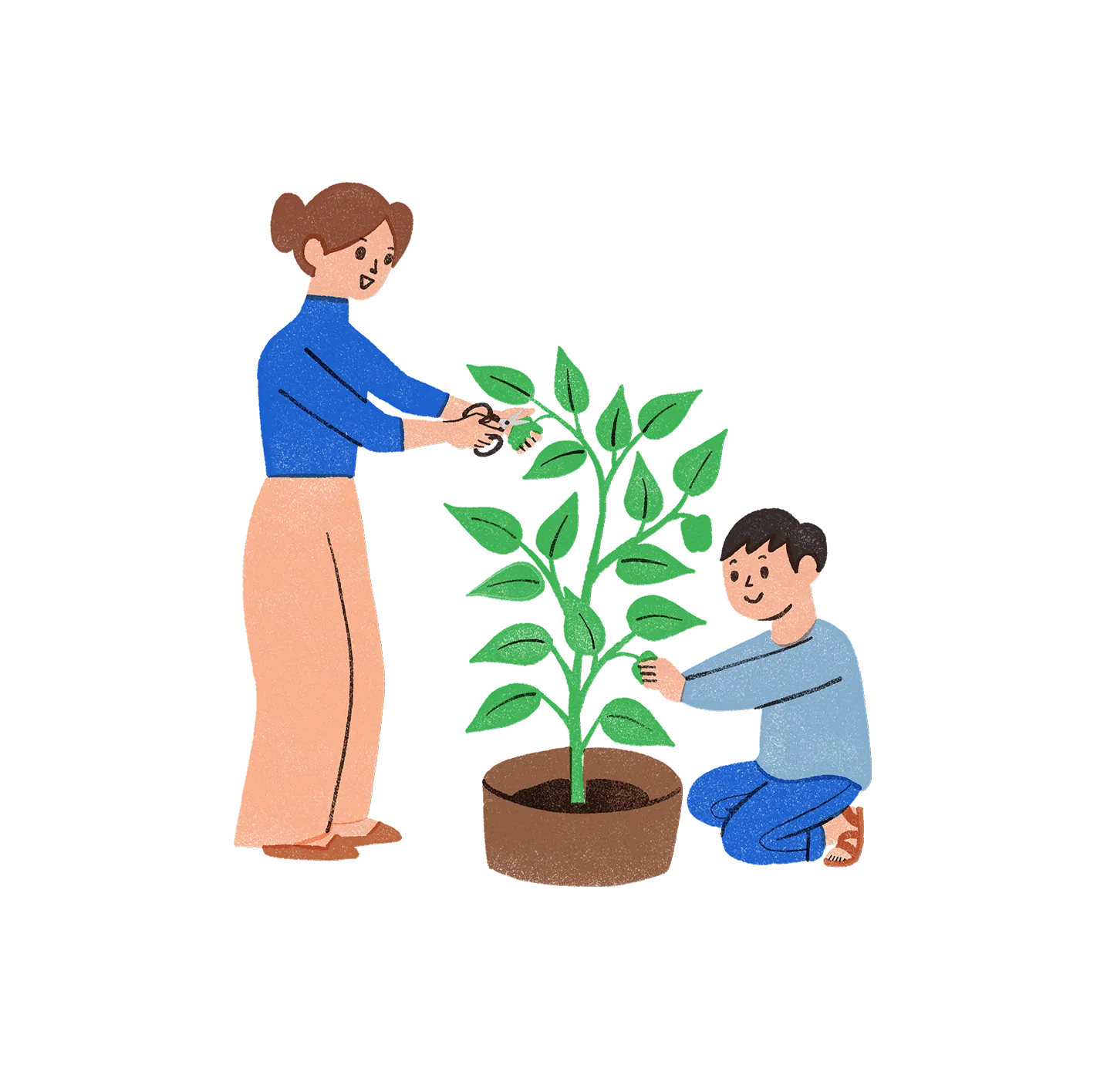 毎日の会話のタネに。