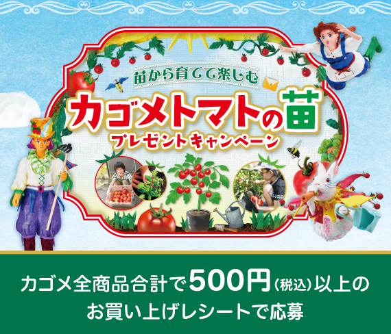 苗から育てて楽しむ！カゴメトマトの苗プレゼントキャンペーン