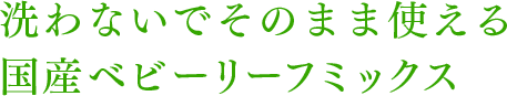 洗わないでそのまま使える国産ベビーリーフミックス