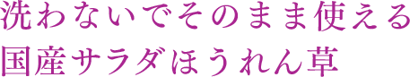 洗わないでそのまま使える国産サラダほうれん草