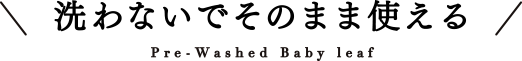 洗わないでそのまま使える