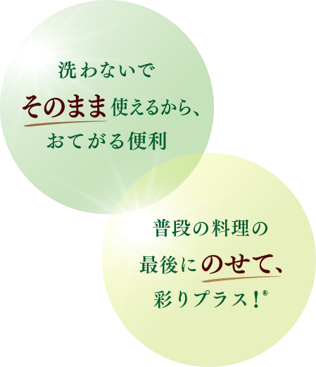 カゴメ 生鮮野菜 ベビーリーフ 洗浄済みベビーリーフ カゴメ 生鮮野菜 ベビーリーフ 洗浄済みベビーリーフ