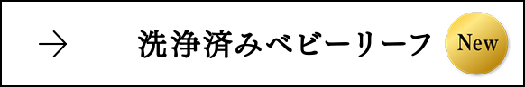 洗浄済みベビーリーフ