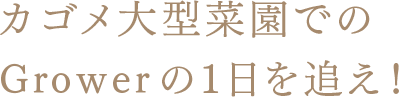 カゴメ大型菜園でのGrowerの1日を追え！