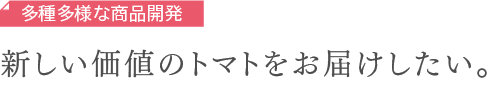 多種多様な商品開発　新しい価値のトマトをお届けしたい。