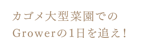 カゴメ大型菜園でのGrowerの1日を追え！