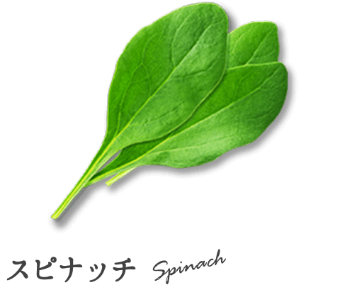 スピナッチ