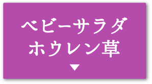 ベビーサラダホウレン草